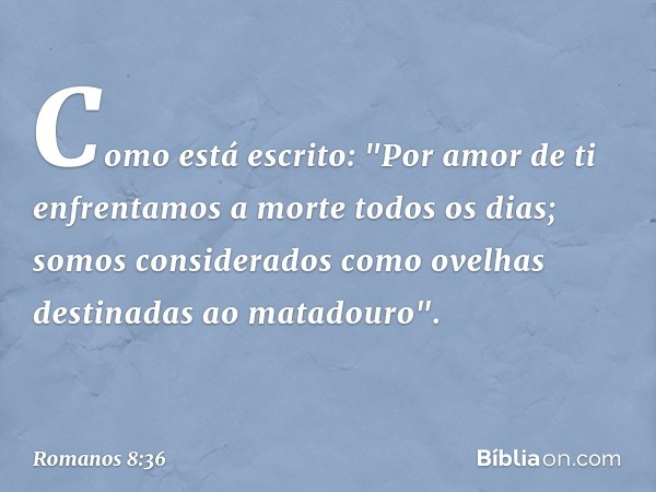 Como está escrito:
"Por amor de ti enfrentamos
a morte todos os dias;
somos considerados
como ovelhas
destinadas ao matadouro". -- Romanos 8:36