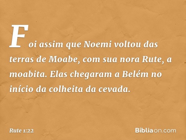 Foi assim que Noemi voltou das terras de Moabe, com sua nora Rute, a moabita. Elas chegaram a Belém no início da colheita da cevada. -- Rute 1:22