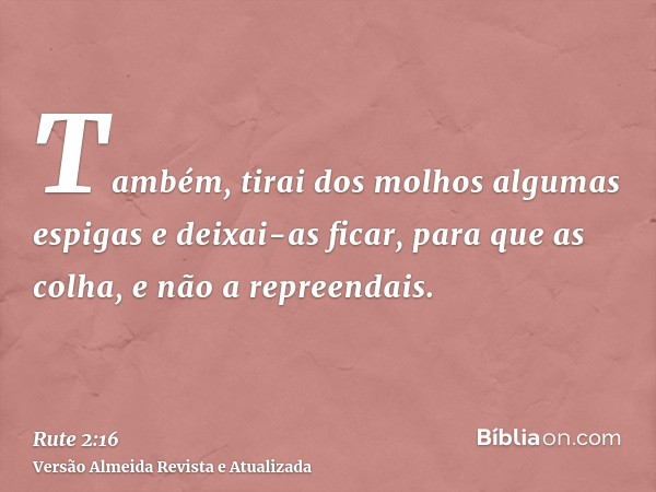 Também, tirai dos molhos algumas espigas e deixai-as ficar, para que as colha, e não a repreendais.