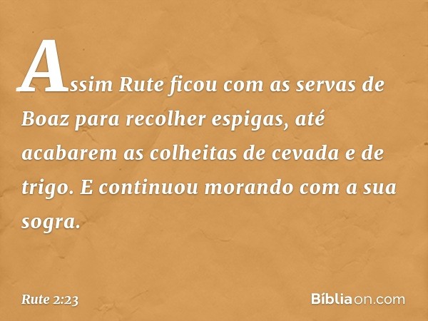 Assim Rute ficou com as servas de Boaz para recolher espigas, até acabarem as colheitas de cevada e de trigo. E continuou morando com a sua sogra. -- Rute 2:23