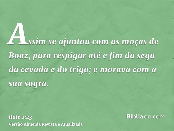 Assim se ajuntou com as moças de Boaz, para respigar até e fim da sega da cevada e do trigo; e morava com a sua sogra.