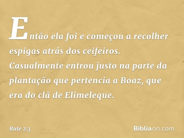 Então ela foi e começou a recolher espigas atrás dos ceifeiros. Casualmente entrou justo na parte da plantação que pertencia a Boaz, que era do clã de Elimelequ