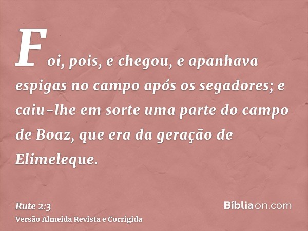 Foi, pois, e chegou, e apanhava espigas no campo após os segadores; e caiu-lhe em sorte uma parte do campo de Boaz, que era da geração de Elimeleque.