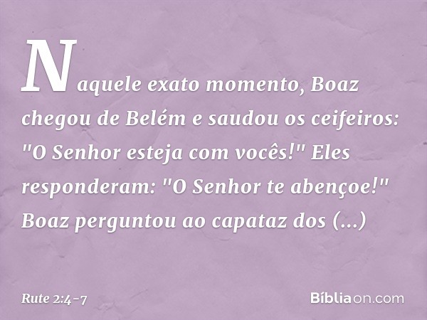 Naquele exato momento, Boaz chegou de Belém e saudou os ceifeiros: "O Senhor esteja com vocês!"
Eles responderam: "O Senhor te abençoe!" Boaz perguntou ao capat