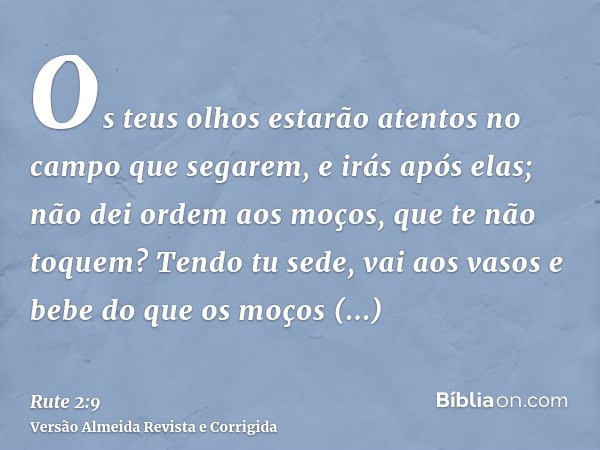 Os teus olhos estarão atentos no campo que segarem, e irás após elas; não dei ordem aos moços, que te não toquem? Tendo tu sede, vai aos vasos e bebe do que os 