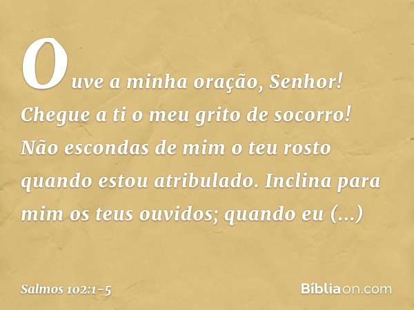 Ouve a minha oração, Senhor!
Chegue a ti o meu grito de socorro! Não escondas de mim o teu rosto
quando estou atribulado.
Inclina para mim os teus ouvidos;
quan