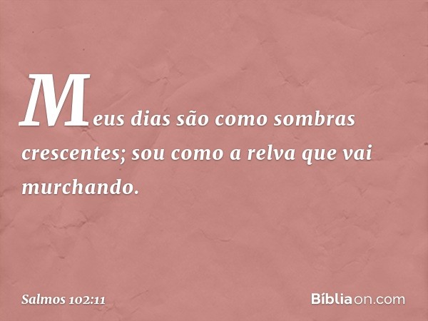 Meus dias são como sombras crescentes;
sou como a relva que vai murchando. -- Salmo 102:11