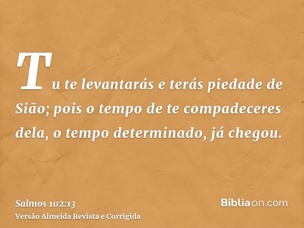 Tu te levantarás e terás piedade de Sião; pois o tempo de te compadeceres dela, o tempo determinado, já chegou.