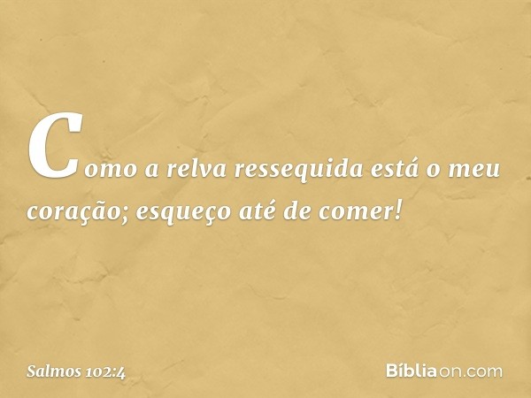 Como a relva ressequida está o meu coração;
esqueço até de comer! -- Salmo 102:4