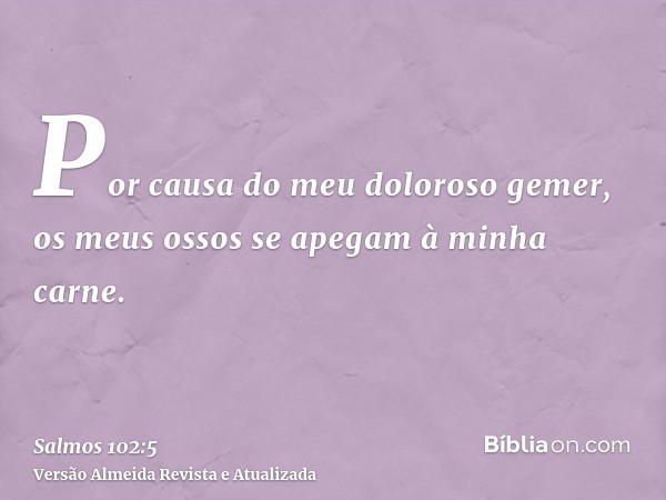 Por causa do meu doloroso gemer, os meus ossos se apegam à minha carne.