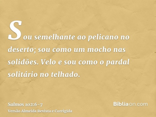 Sou semelhante ao pelicano no deserto; sou como um mocho nas solidões.Velo e sou como o pardal solitário no telhado.