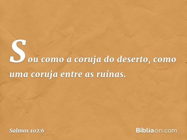 Sou como a coruja do deserto,
como uma coruja entre as ruínas. -- Salmo 102:6