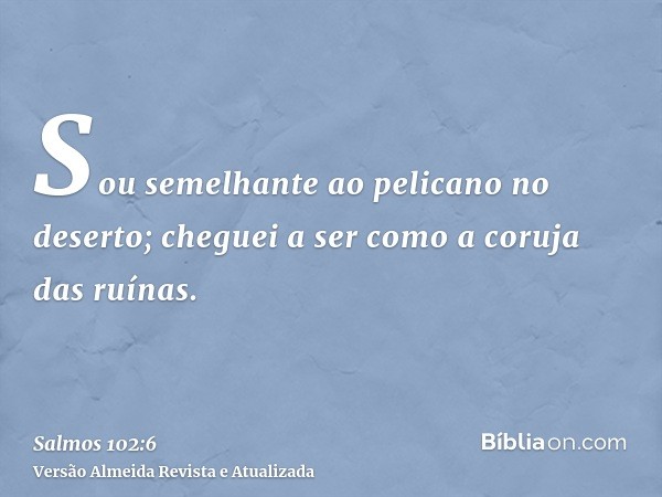 Sou semelhante ao pelicano no deserto; cheguei a ser como a coruja das ruínas.