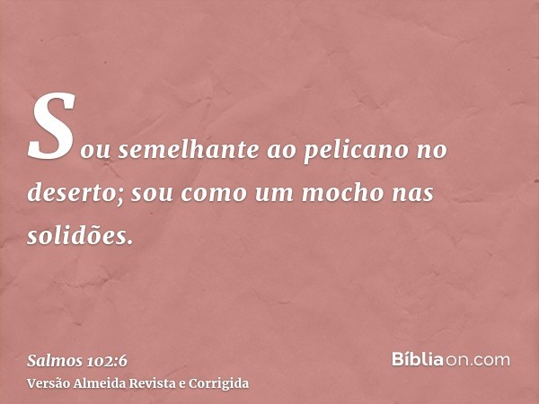 Sou semelhante ao pelicano no deserto; sou como um mocho nas solidões.