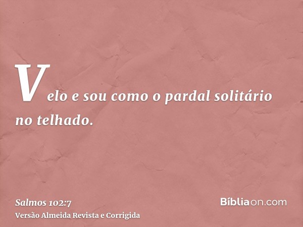 Velo e sou como o pardal solitário no telhado.