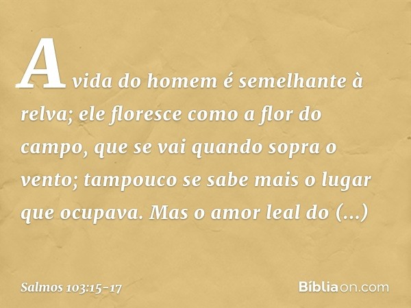 A vida do homem é semelhante à relva;
ele floresce como a flor do campo, que se vai quando sopra o vento;
tampouco se sabe mais o lugar que ocupava. Mas o amor 