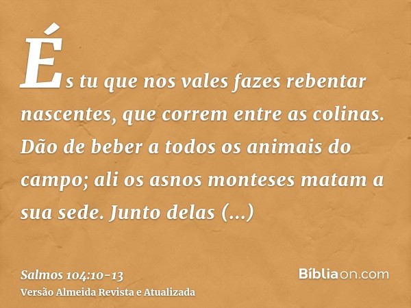 És tu que nos vales fazes rebentar nascentes, que correm entre as colinas.Dão de beber a todos os animais do campo; ali os asnos monteses matam a sua sede.Junto