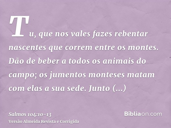 Tu, que nos vales fazes rebentar nascentes que correm entre os montes.Dão de beber a todos os animais do campo; os jumentos monteses matam com elas a sua sede.J