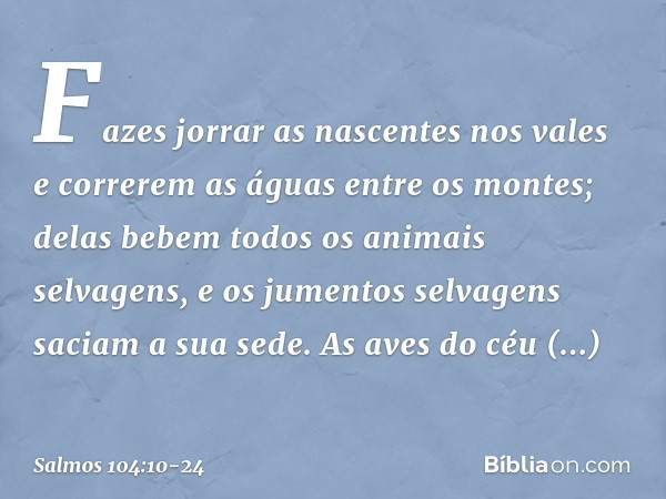 Fazes jorrar as nascentes nos vales
e correrem as águas entre os montes; delas bebem todos os animais selvagens,
e os jumentos selvagens saciam a sua sede. As a