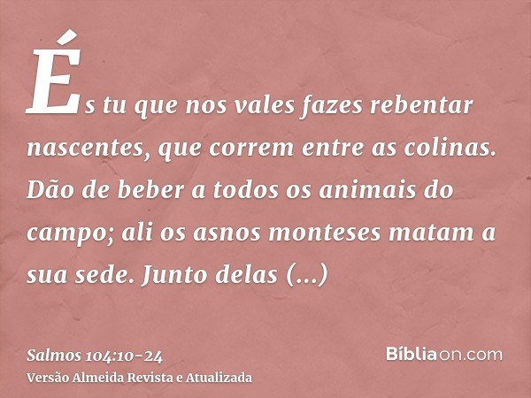 És tu que nos vales fazes rebentar nascentes, que correm entre as colinas.Dão de beber a todos os animais do campo; ali os asnos monteses matam a sua sede.Junto