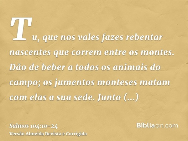 Tu, que nos vales fazes rebentar nascentes que correm entre os montes.Dão de beber a todos os animais do campo; os jumentos monteses matam com elas a sua sede.J