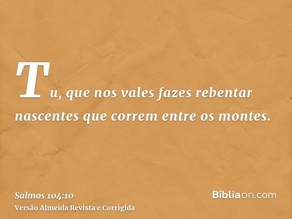 Tu, que nos vales fazes rebentar nascentes que correm entre os montes.