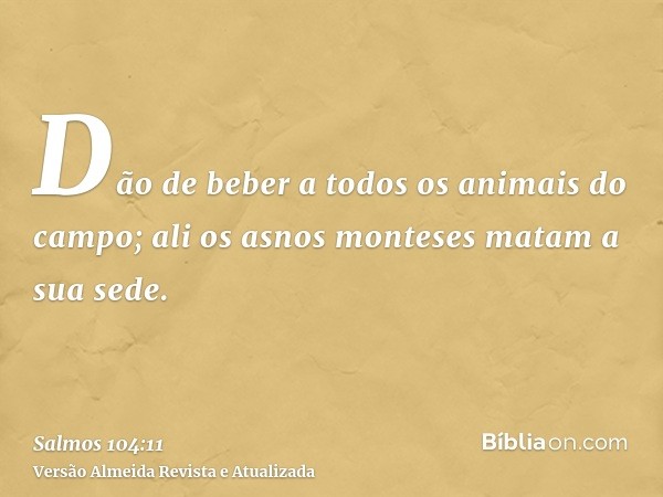 Dão de beber a todos os animais do campo; ali os asnos monteses matam a sua sede.