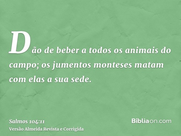 Dão de beber a todos os animais do campo; os jumentos monteses matam com elas a sua sede.