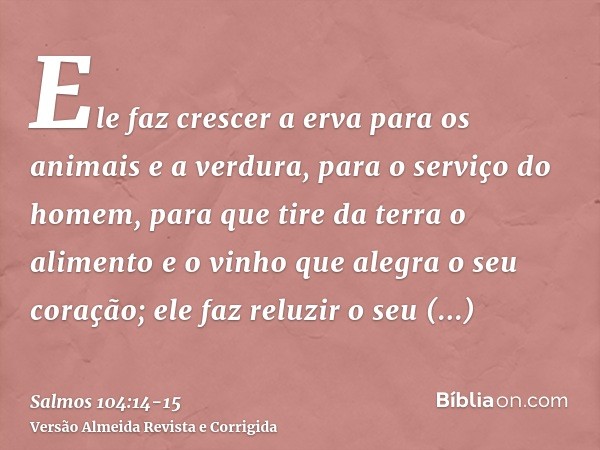 Ele faz crescer a erva para os animais e a verdura, para o serviço do homem, para que tire da terra o alimentoe o vinho que alegra o seu coração; ele faz reluzi