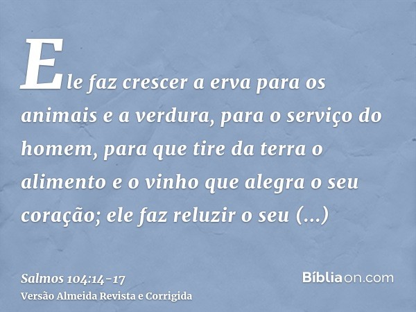 Ele faz crescer a erva para os animais e a verdura, para o serviço do homem, para que tire da terra o alimentoe o vinho que alegra o seu coração; ele faz reluzi