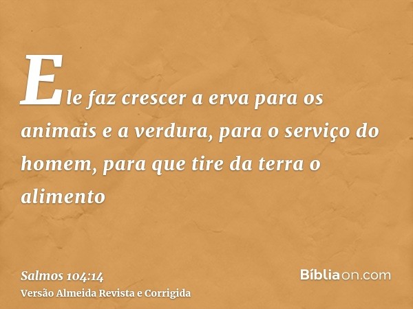 Ele faz crescer a erva para os animais e a verdura, para o serviço do homem, para que tire da terra o alimento