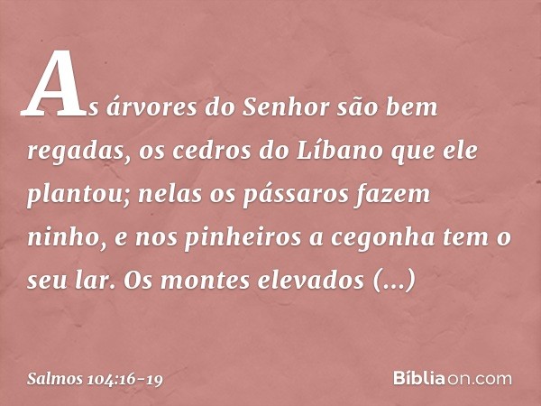 As árvores do Senhor são bem regadas,
os cedros do Líbano que ele plantou; nelas os pássaros fazem ninho,
e nos pinheiros a cegonha tem o seu lar. Os montes ele