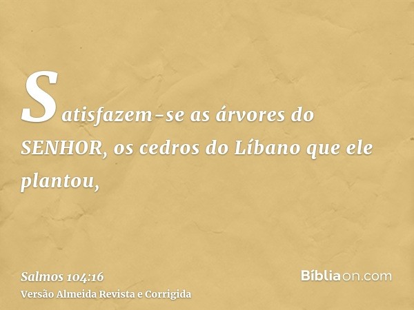 Satisfazem-se as árvores do SENHOR, os cedros do Líbano que ele plantou,