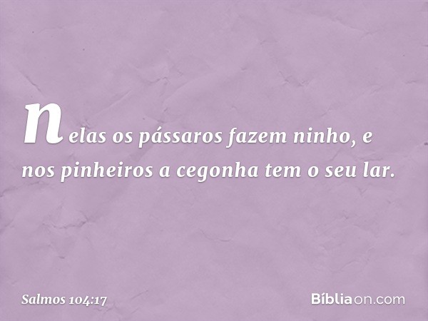 nelas os pássaros fazem ninho,
e nos pinheiros a cegonha tem o seu lar. -- Salmo 104:17