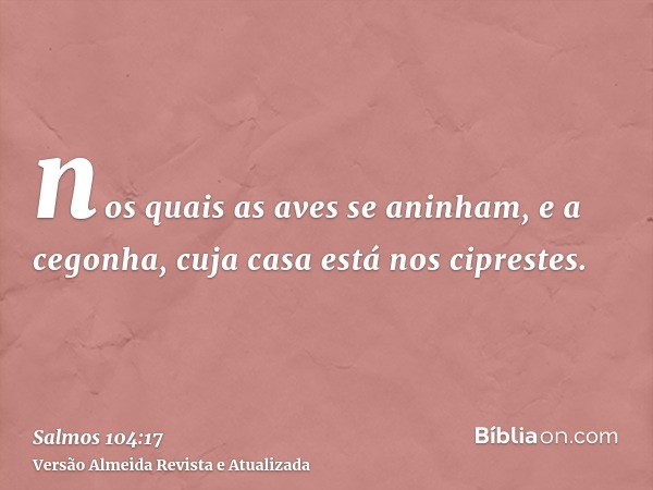 nos quais as aves se aninham, e a cegonha, cuja casa está nos ciprestes.