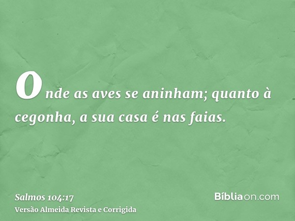 onde as aves se aninham; quanto à cegonha, a sua casa é nas faias.