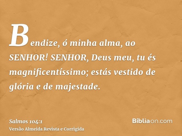 Bendize, ó minha alma, ao SENHOR! SENHOR, Deus meu, tu és magnificentíssimo; estás vestido de glória e de majestade.