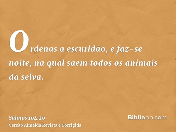 Ordenas a escuridão, e faz-se noite, na qual saem todos os animais da selva.