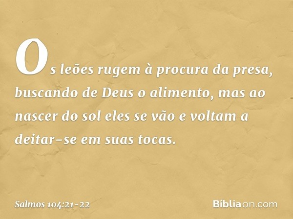 Os leões rugem à procura da presa,
buscando de Deus o alimento, mas ao nascer do sol eles se vão
e voltam a deitar-se em suas tocas. -- Salmo 104:21-22