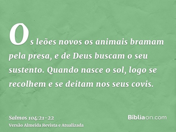 Os leões novos os animais bramam pela presa, e de Deus buscam o seu sustento.Quando nasce o sol, logo se recolhem e se deitam nos seus covis.