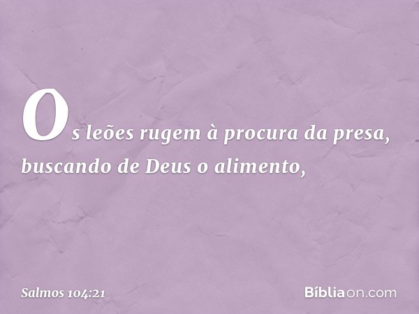 Os leões rugem à procura da presa,
buscando de Deus o alimento, -- Salmo 104:21