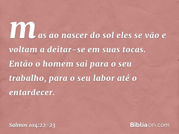 mas ao nascer do sol eles se vão
e voltam a deitar-se em suas tocas. Então o homem sai para o seu trabalho,
para o seu labor até o entardecer. -- Salmo 104:22-2