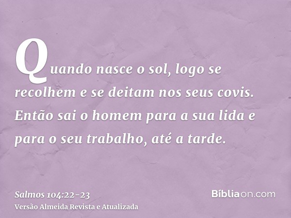 Quando nasce o sol, logo se recolhem e se deitam nos seus covis.Então sai o homem para a sua lida e para o seu trabalho, até a tarde.