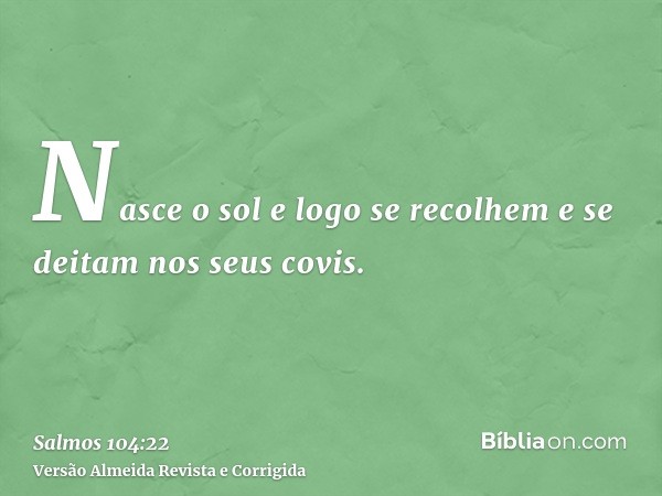 Nasce o sol e logo se recolhem e se deitam nos seus covis.