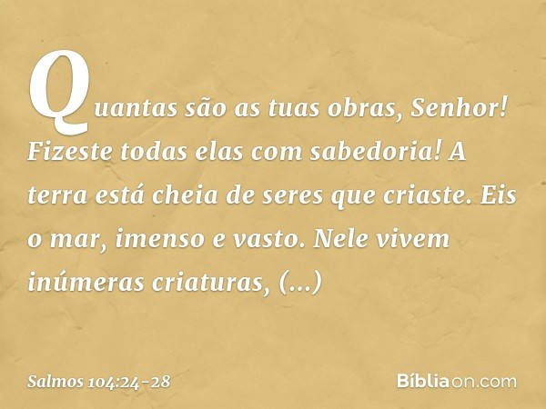 Quantas são as tuas obras, Senhor!
Fizeste todas elas com sabedoria!
A terra está cheia de seres que criaste. Eis o mar, imenso e vasto.
Nele vivem inúmeras cri