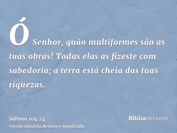 Ó Senhor, quão multiformes são as tuas obras! Todas elas as fizeste com sabedoria; a terra está cheia das tuas riquezas.