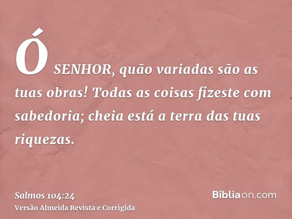 Ó SENHOR, quão variadas são as tuas obras! Todas as coisas fizeste com sabedoria; cheia está a terra das tuas riquezas.