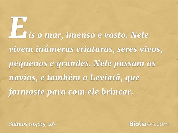 Eis o mar, imenso e vasto.
Nele vivem inúmeras criaturas,
seres vivos, pequenos e grandes. Nele passam os navios,
e também o Leviatã,
que formaste para com ele 