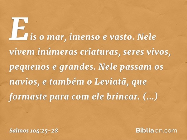 Eis o mar, imenso e vasto.
Nele vivem inúmeras criaturas,
seres vivos, pequenos e grandes. Nele passam os navios,
e também o Leviatã,
que formaste para com ele