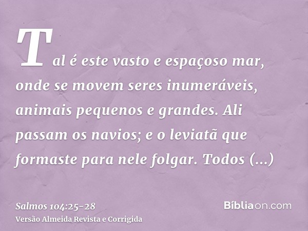 Tal é este vasto e espaçoso mar, onde se movem seres inumeráveis, animais pequenos e grandes.Ali passam os navios; e o leviatã que formaste para nele folgar.Tod